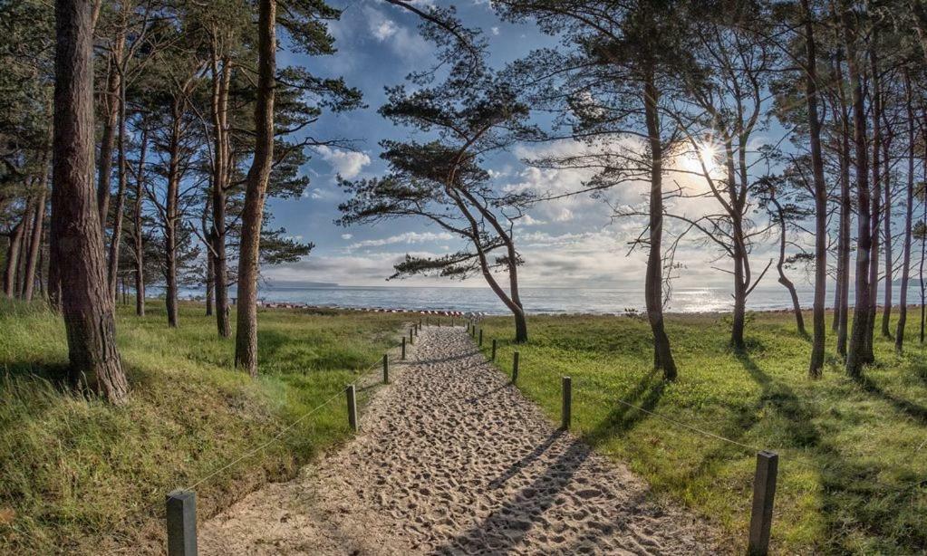 Direkt Am Strand Mit Meerblick Und Sauna - Fewo Strandidyll Binz Eksteriør bilde